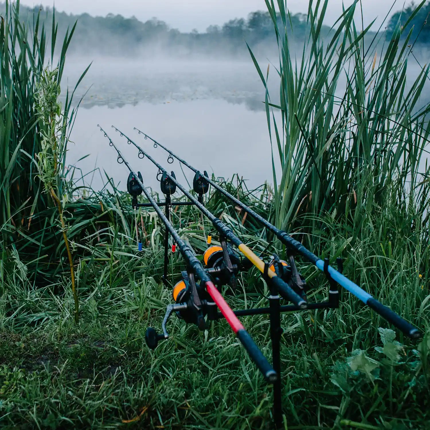 Carp Rods